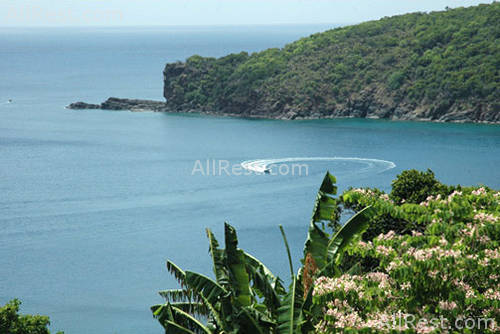 Guana Island Resort 23